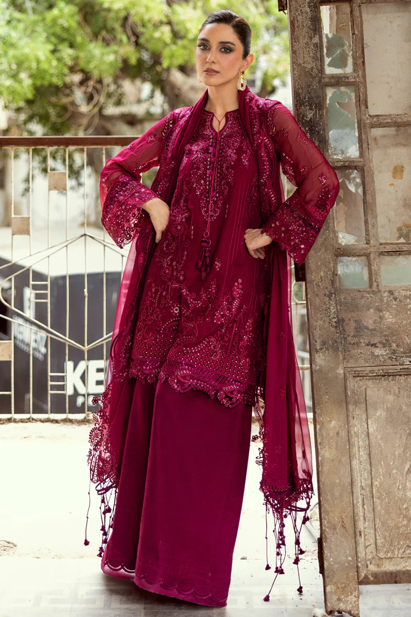 WC-02 SIOFE | CHIFFONS '25 | QALAMKAR