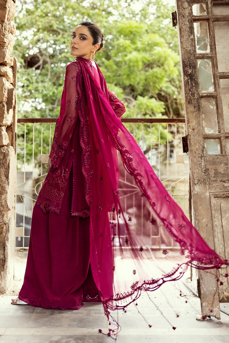WC-02 SIOFE | CHIFFONS '25 | QALAMKAR