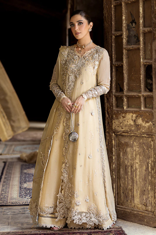 WC-07 HEELA | CHIFFONS '25 | QALAMKAR