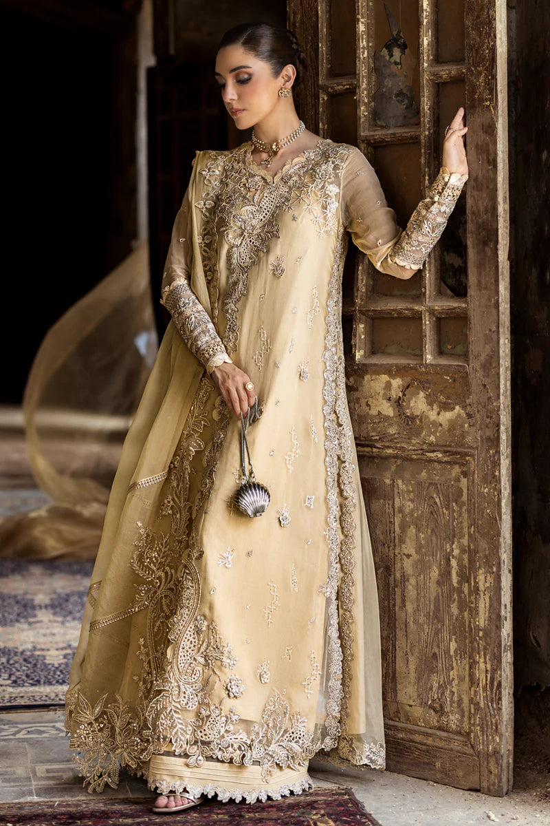 WC-07 HEELA | CHIFFONS '25 | QALAMKAR