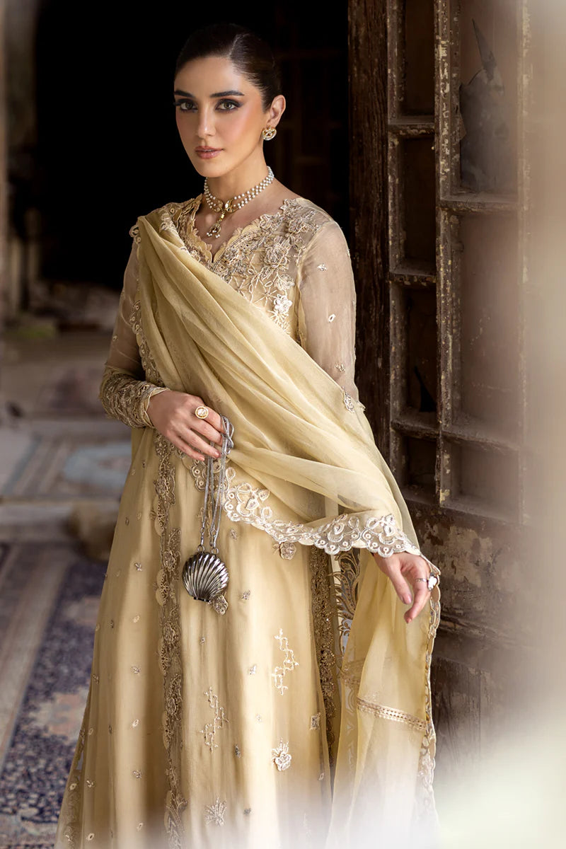 WC-07 HEELA | CHIFFONS '25 | QALAMKAR