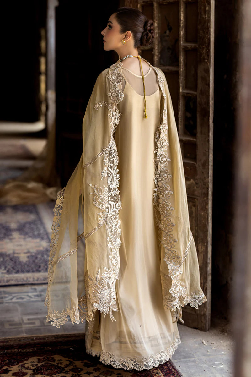WC-07 HEELA | CHIFFONS '25 | QALAMKAR