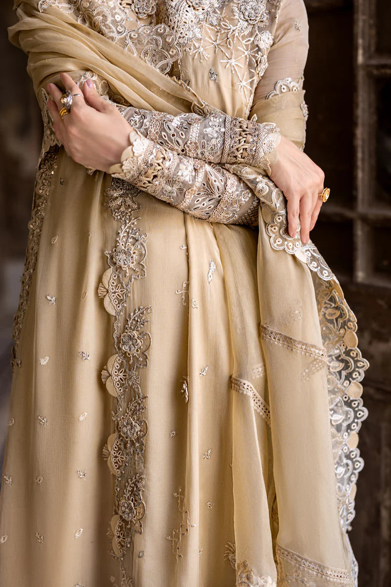 WC-07 HEELA | CHIFFONS '25 | QALAMKAR