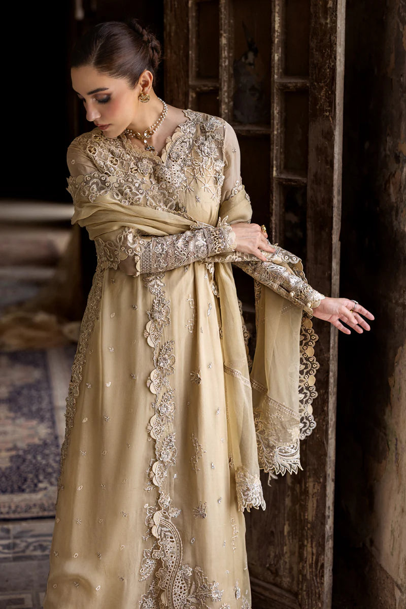 WC-07 HEELA | CHIFFONS '25 | QALAMKAR