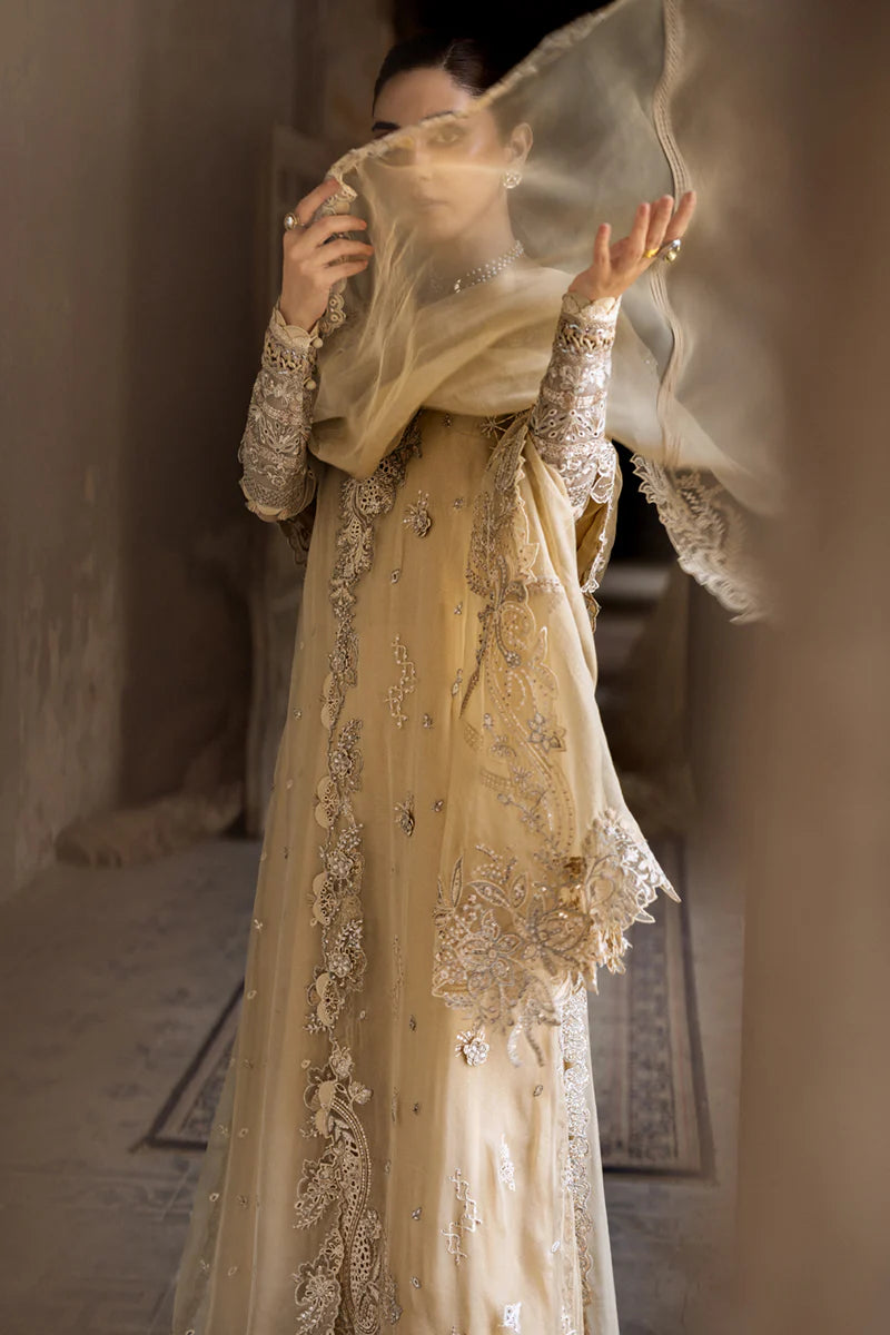 WC-07 HEELA | CHIFFONS '25 | QALAMKAR