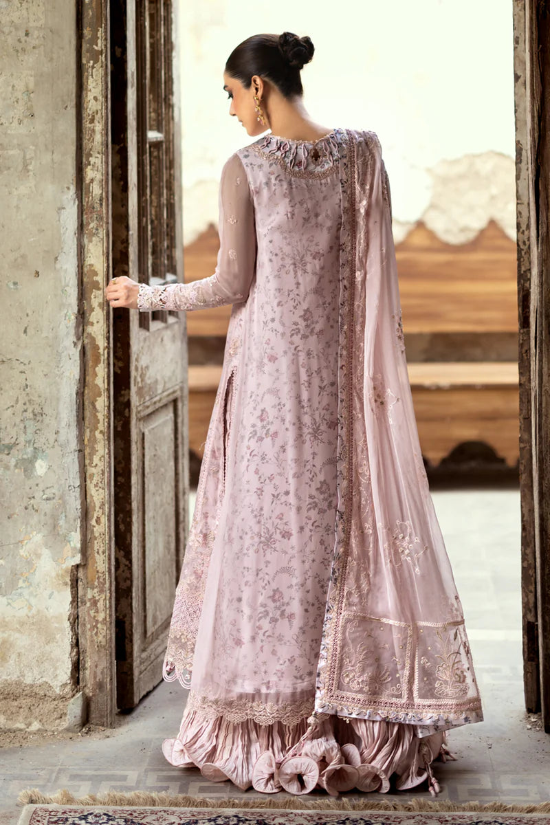 WC-05 RIONA | CHIFFONS '25 | QALAMKAR