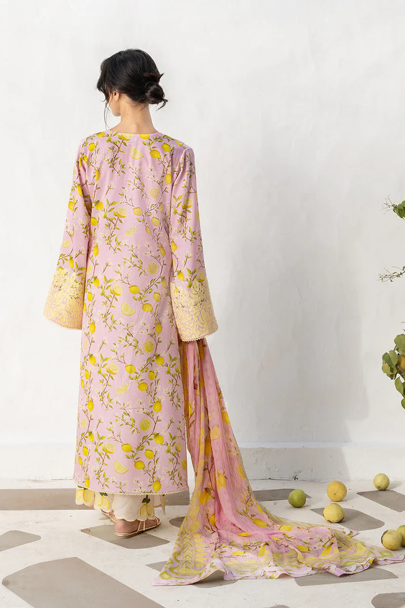 Ambar (B) | Unstitched Lawn '26 | Sania Maskatiya (RTS)