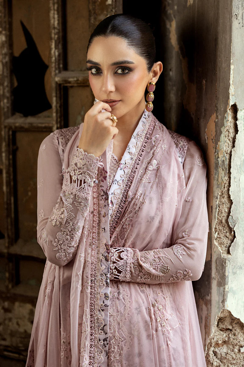 WC-05 RIONA | CHIFFONS '25 | QALAMKAR