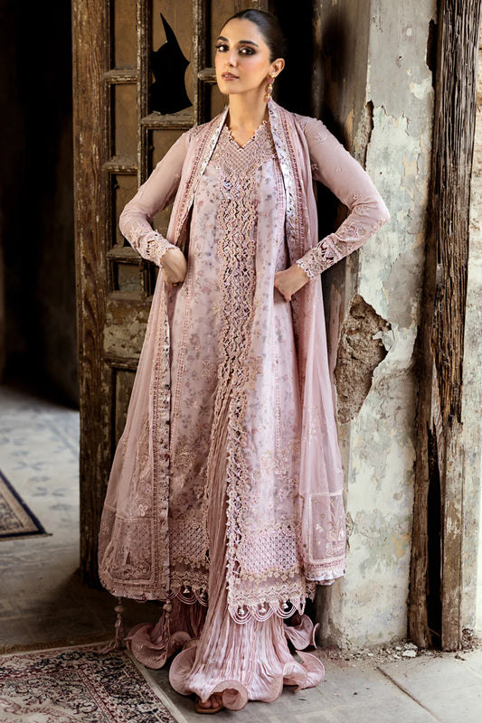 WC-05 RIONA | CHIFFONS '25 | QALAMKAR