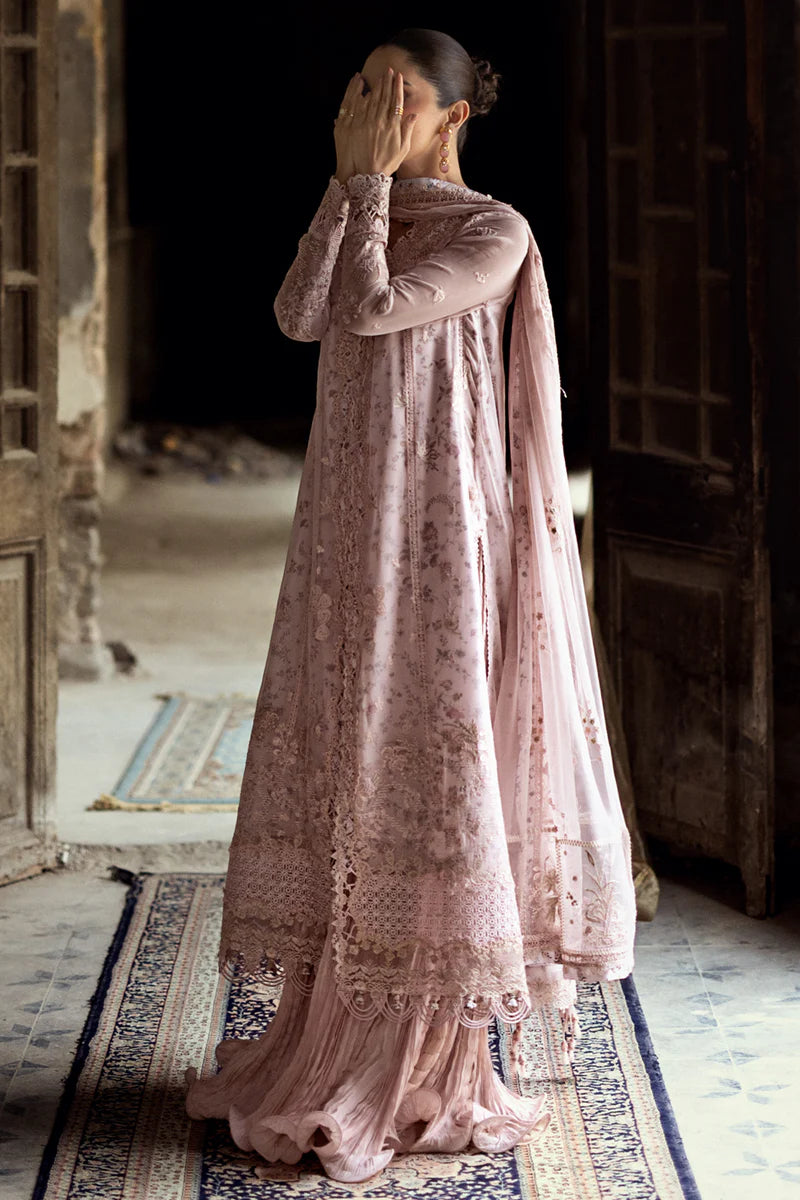 WC-05 RIONA | CHIFFONS '25 | QALAMKAR