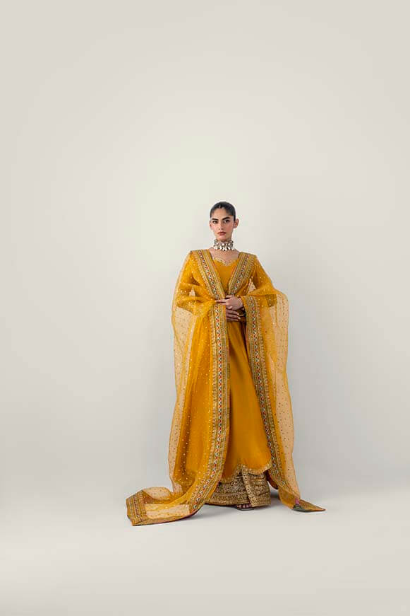 Mari Gold | Wajahat Mansoor