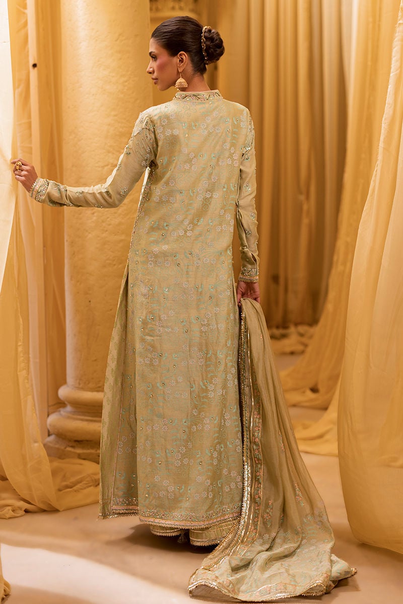 SAGE WILLOW | ARTISAN PRINTS '26 | Ansab Jahangir