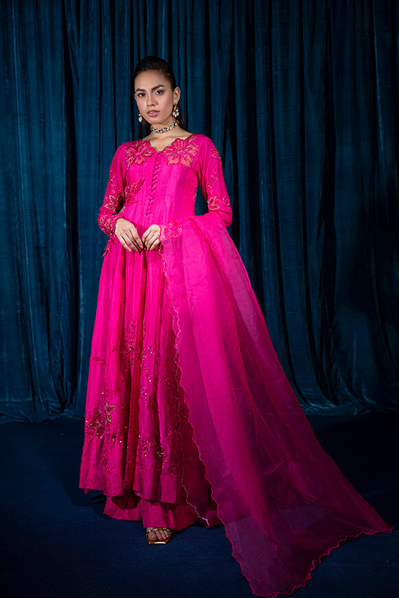 Sofia | Wajahat Mansoor