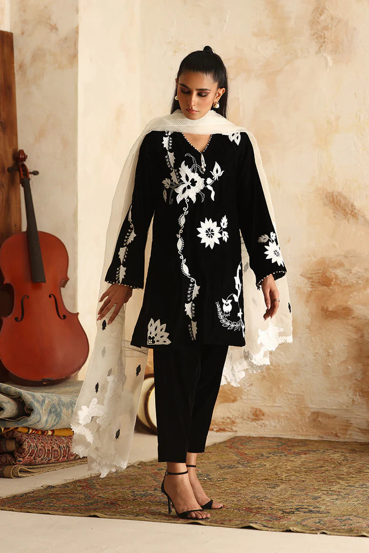 Charlene | Velvet | Nadia Farooqui