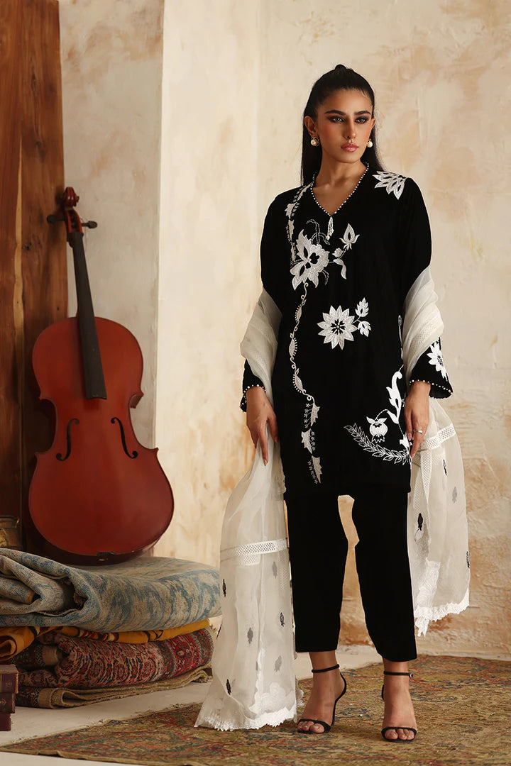 Charlene | Velvet | Nadia Farooqui