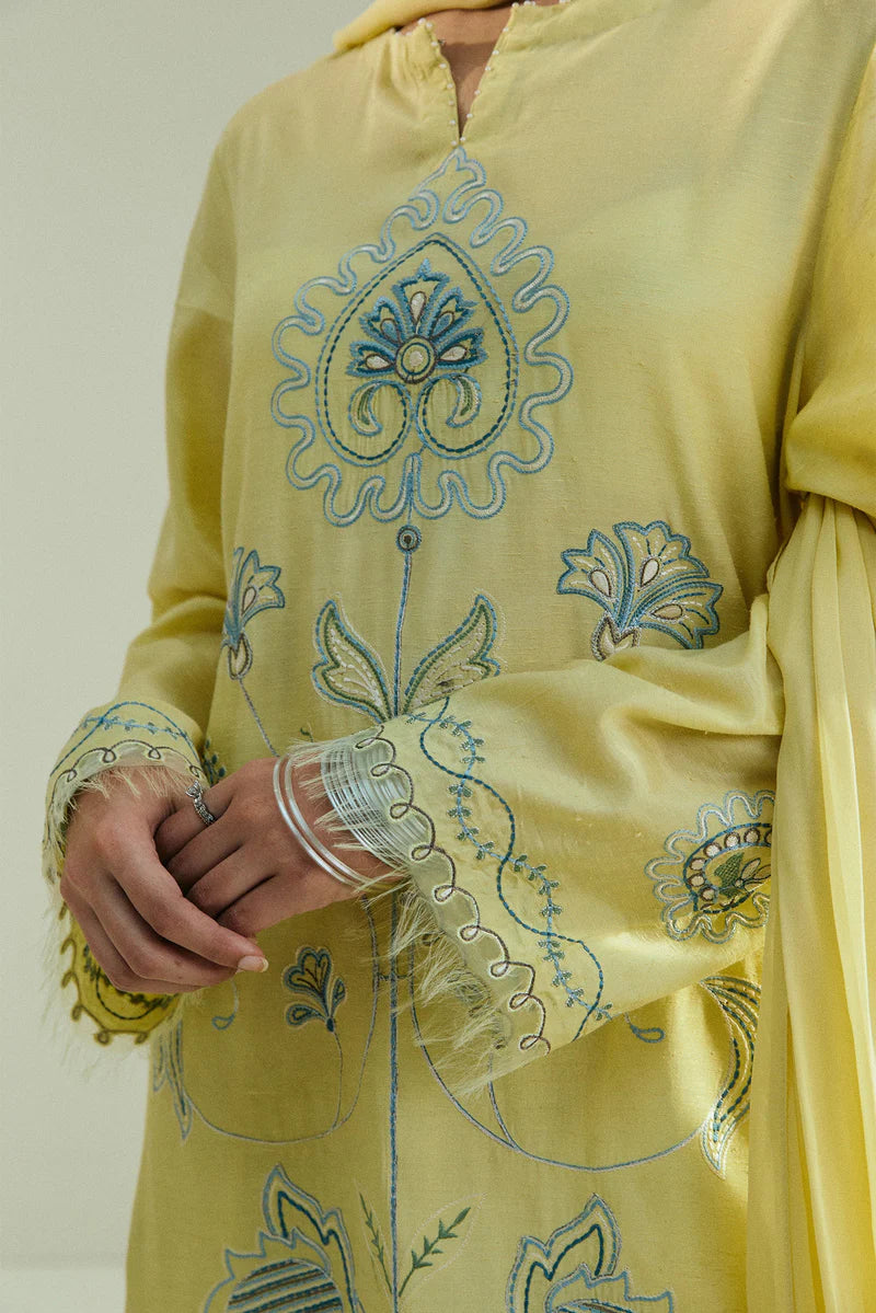 CR25P0963 | PRET A/W 2025 | Zara Shahjahan