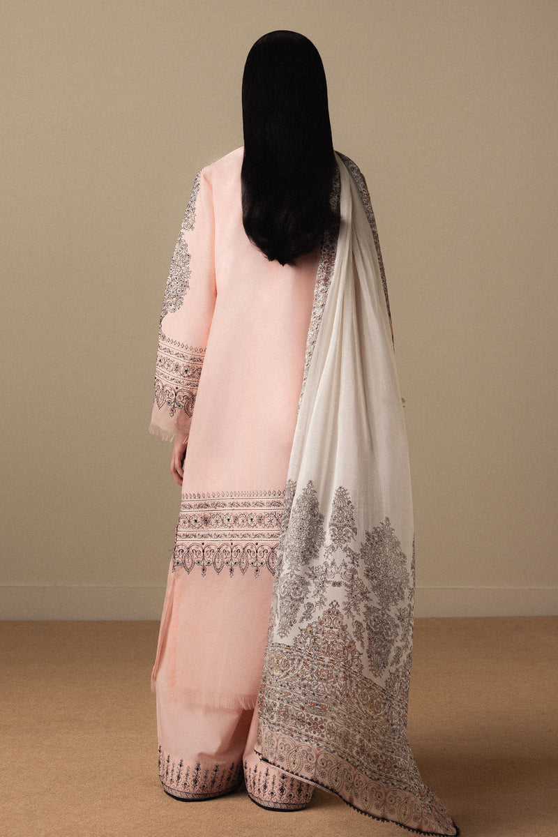 Akahana-D11 | Satori '26 | ZARA SHAHJAHAN