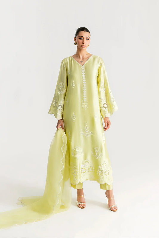 SAHARA | Silk Pret '25 | Saira Rizwan