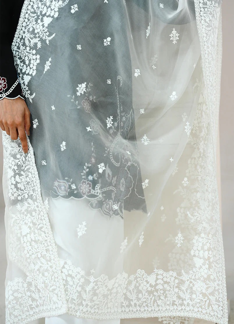 15294/501/105 | Embroidered Dupatta | IMAGE