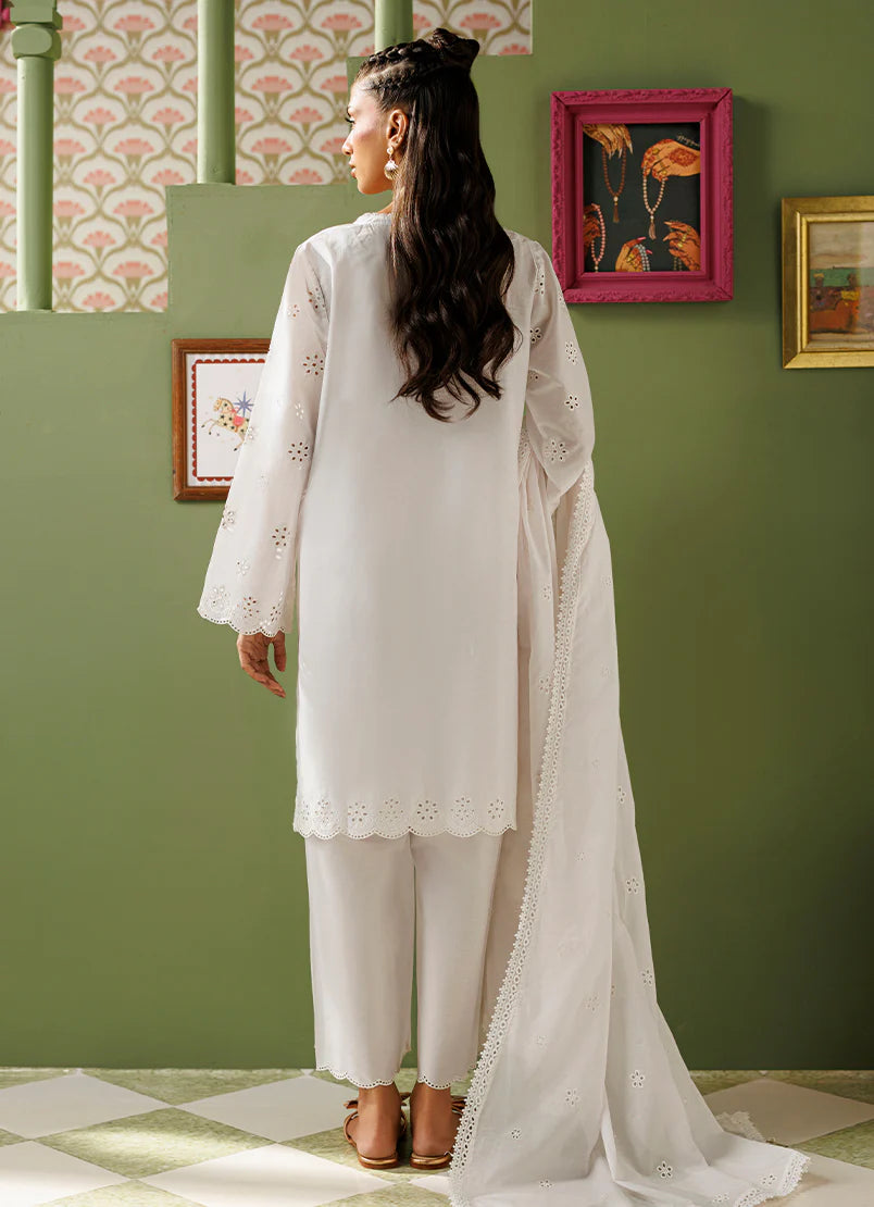 16219/401/101 | New Arrivals | IMAGE