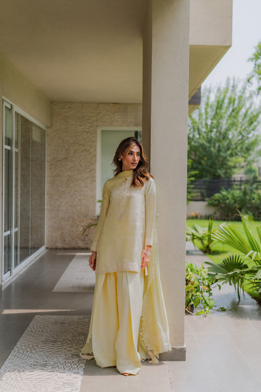 Lime Zest | Saher & Benish