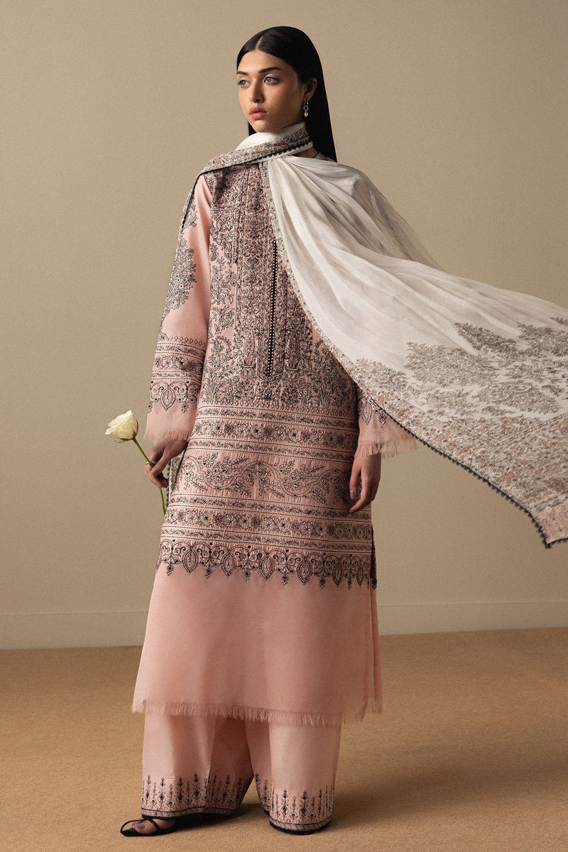 Akahana-D11 | Satori '26 | ZARA SHAHJAHAN