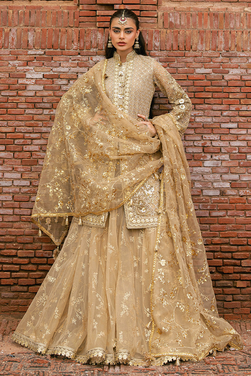 ROSHNI | Mohsin Naveed Ranjha