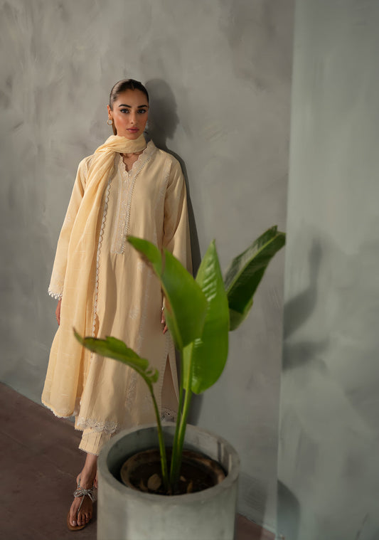 BUTTER YELLOW EMBROIDERED SET | ZAIB