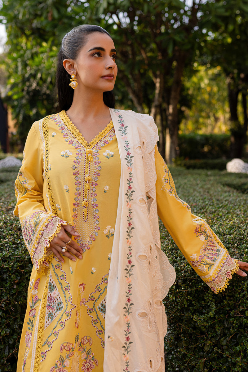 QM-10 OLENA | Qlinekari by Qalamkar Lawn 2025