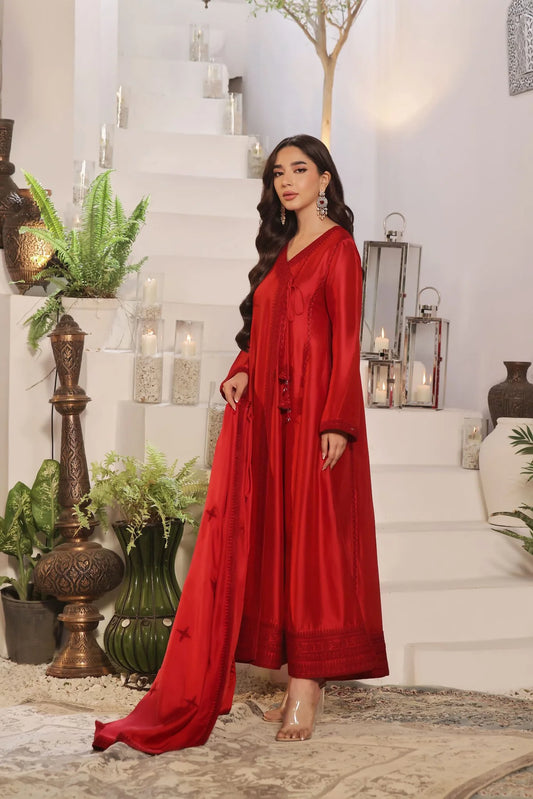 Amina | Erum Jamal