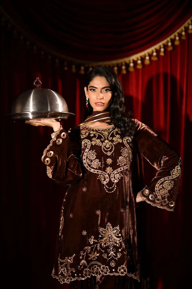 Roshni | Luxury Velvets '25 | Ansab Jahangir