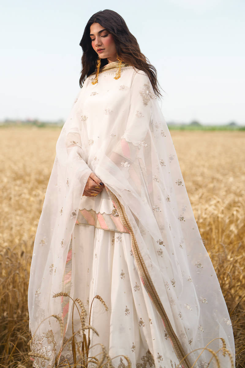 SHEESH | Punjab Festive Edit | Mohsin Naveed Ranjha