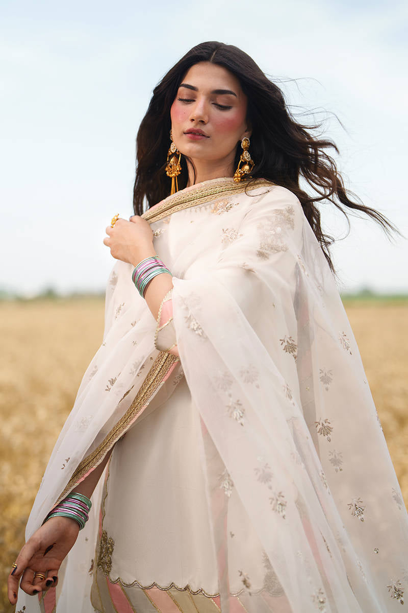 SHEESH | Punjab Festive Edit | Mohsin Naveed Ranjha