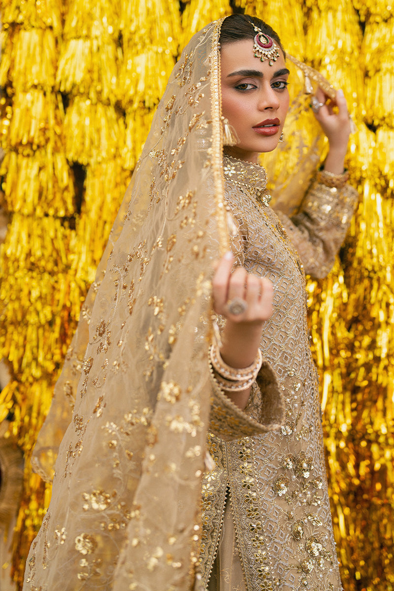 ROSHNI | Mohsin Naveed Ranjha