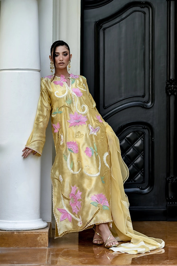 Butterfly | Capsule Collection '25 | Nadia Farooqui