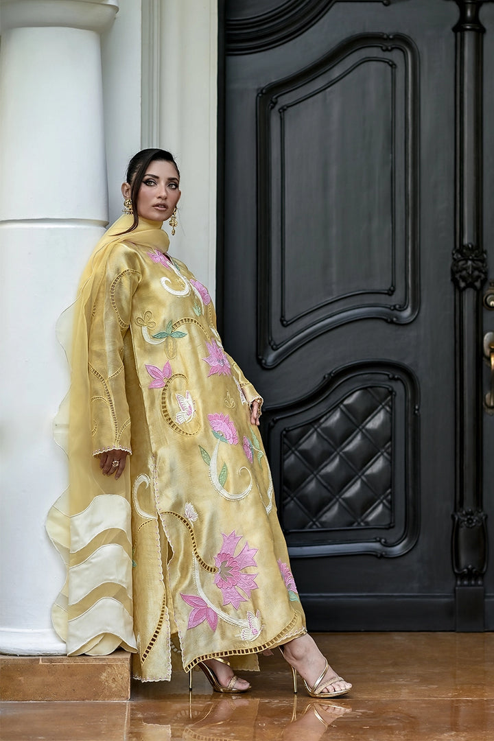 Butterfly | Capsule Collection '25 | Nadia Farooqui