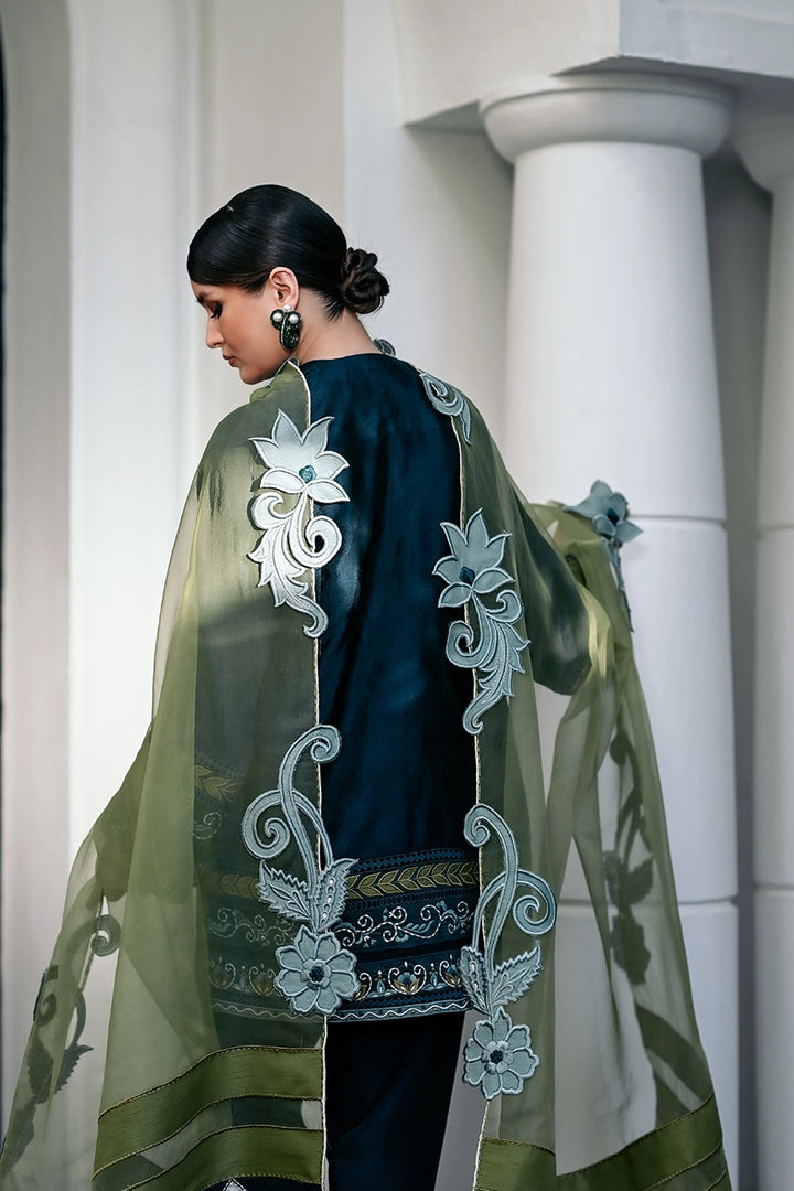 Olive | Capsule Collection '25 | Nadia Farooqui