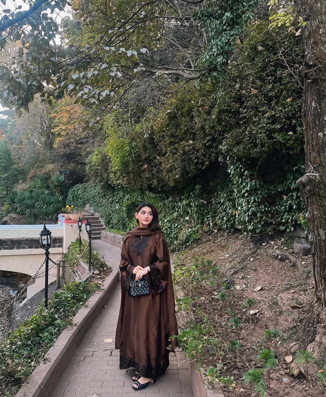 Apricot | Classics III | Kaida