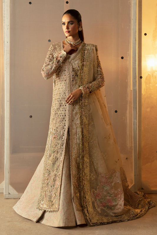 Aniqa | Afrozeh Hayat Wedding Collection