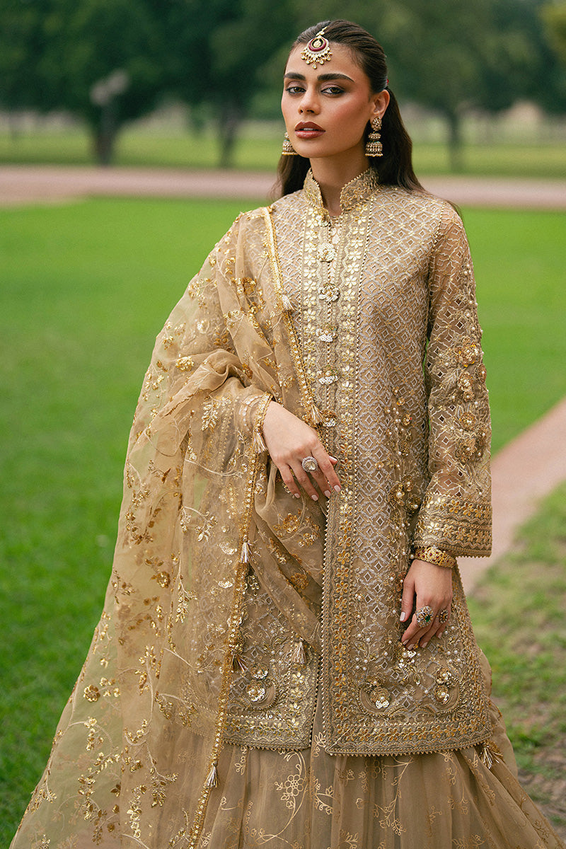 ROSHNI | Mohsin Naveed Ranjha