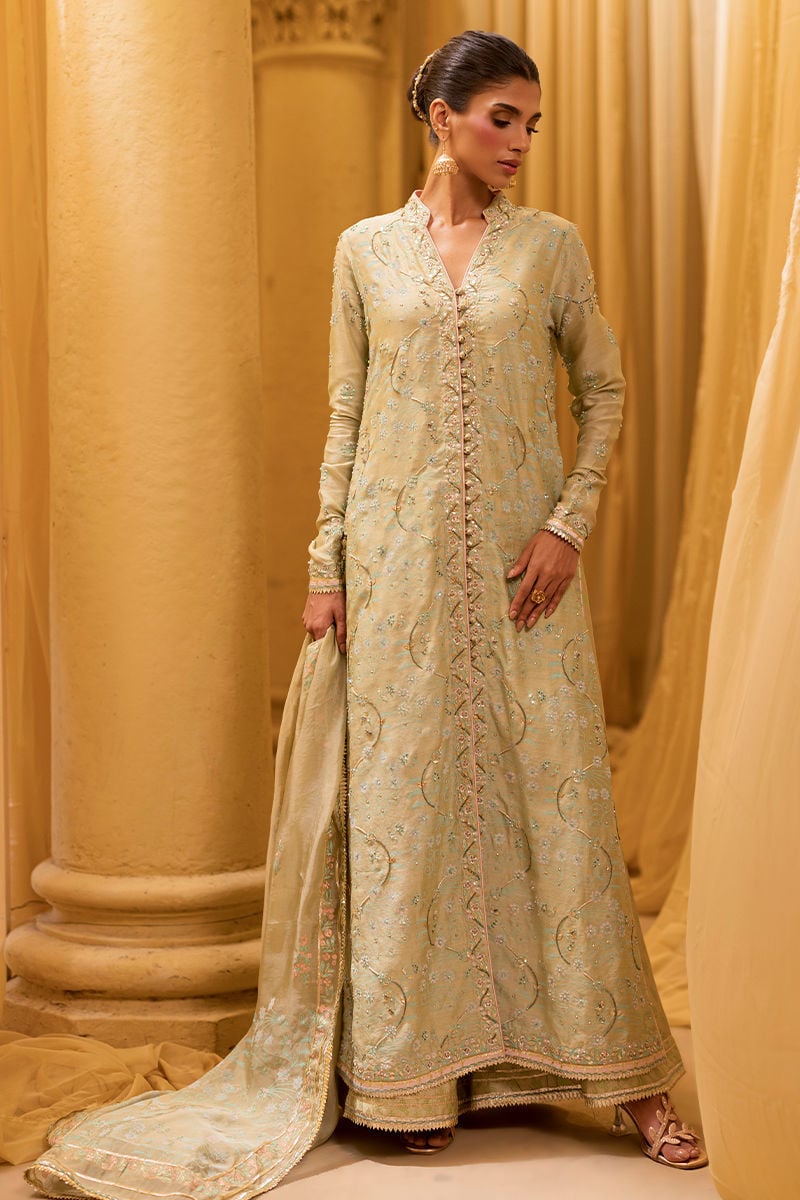 SAGE WILLOW | ARTISAN PRINTS '26 | Ansab Jahangir
