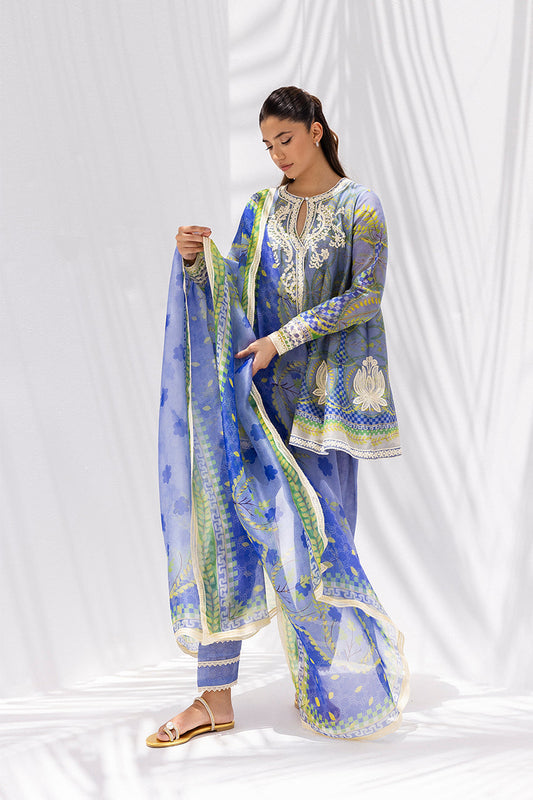 Amya | Sania Maskatiya Rania – Eid ul Adha '25