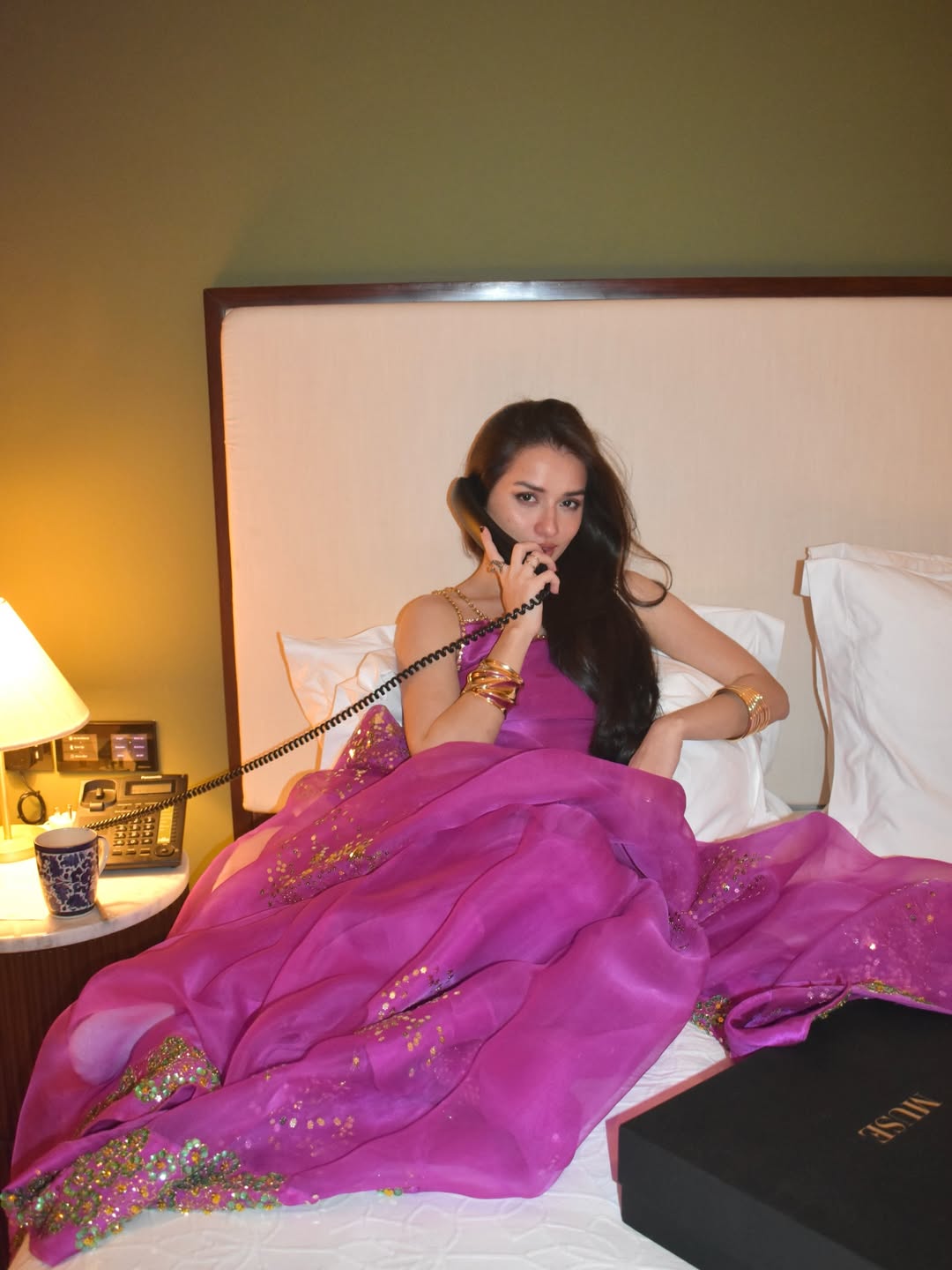 Byzantium Embellished Organza Sari | Muse Luxe