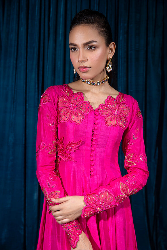 Sofia | Wajahat Mansoor