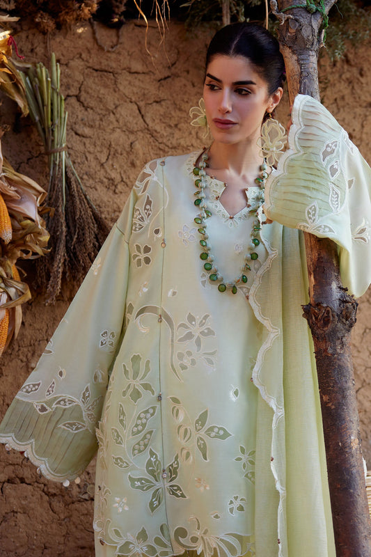 TÁO RÓU 桃柔 (ZL26-14 B)) | Zaha Festive Lawn’26