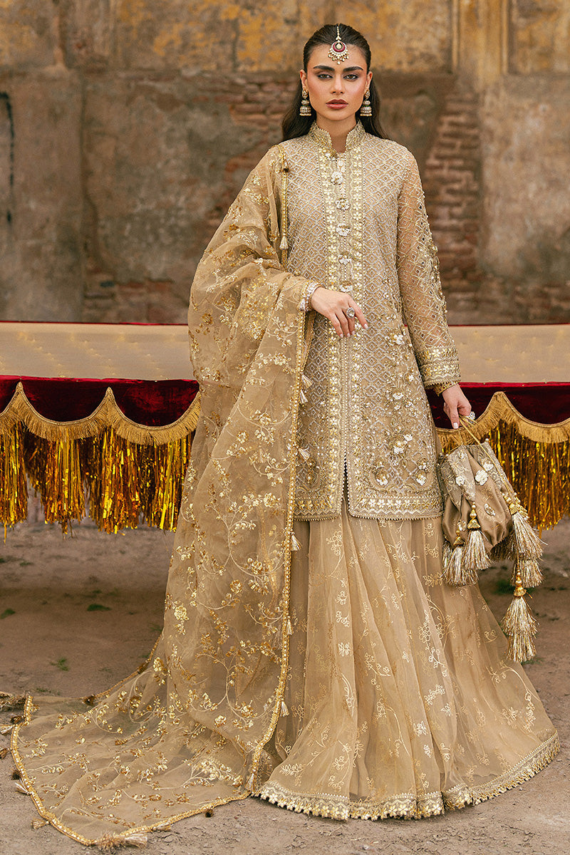ROSHNI | Mohsin Naveed Ranjha