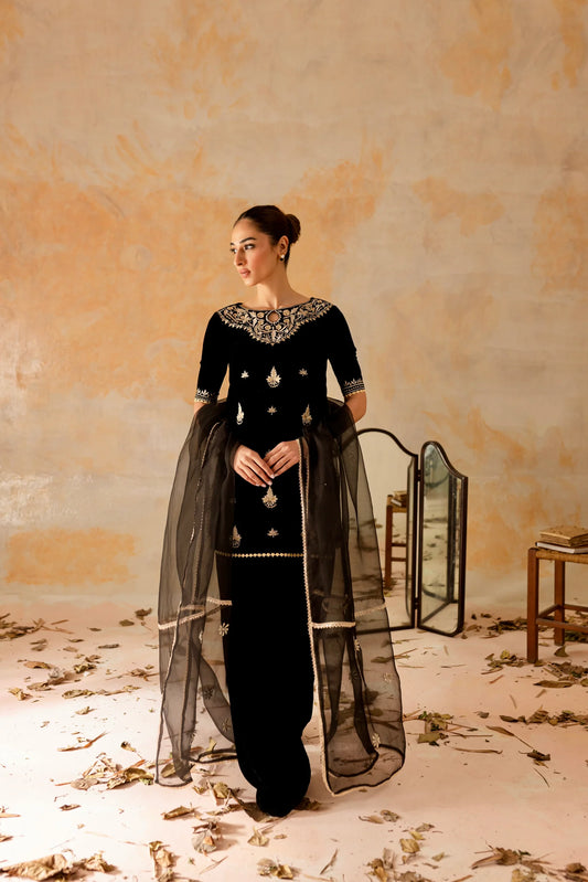 Chandni | Shanzay Anooshay