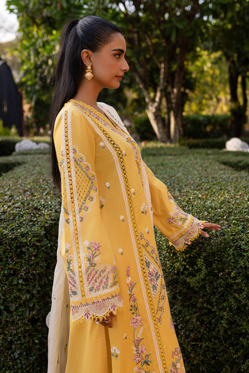 QM-10 OLENA | Qlinekari by Qalamkar Lawn 2025