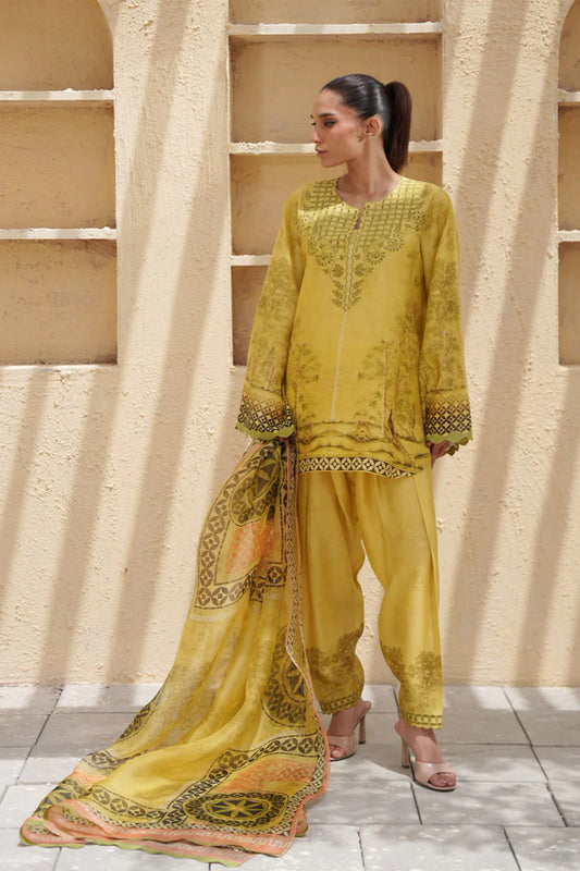 Sena | Eid ul Adha '26 | Sania Maskatiya