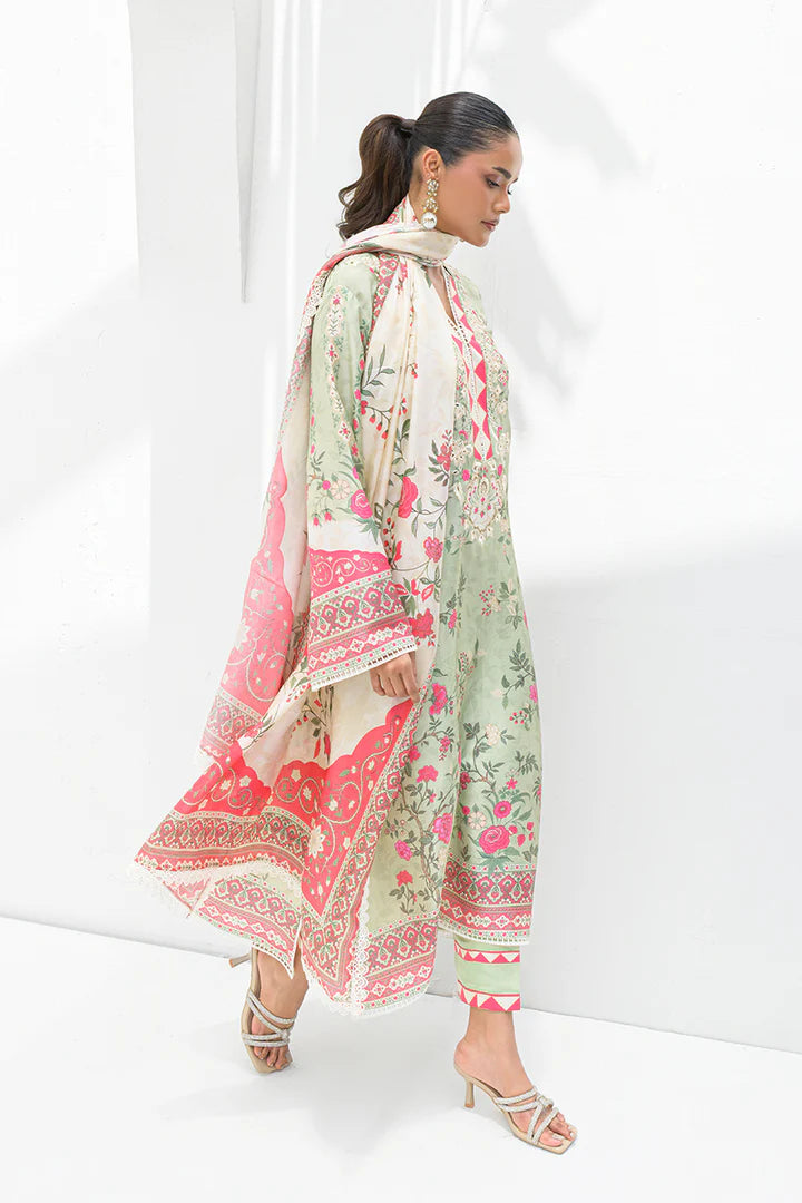 Alia | Nadia Farooqui